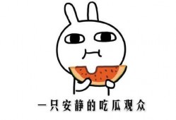 一起来吃瓜抖音,一起来吃瓜，揭秘网络红人的瓜田秘事